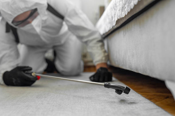 Professional Termite Control technician working in Young Harris, GA