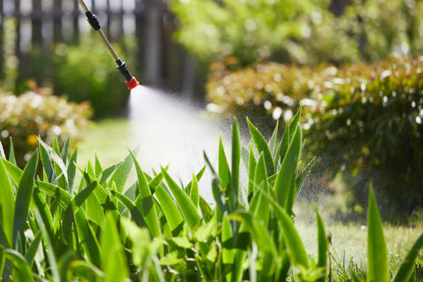 24/7 Emergency Termite Control experts in Young Harris, GA
