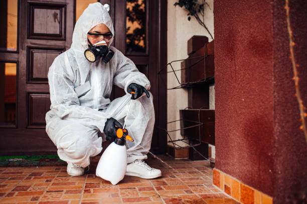 Reliable Termite Control contractor in Young Harris, GA by Nex Pest Control