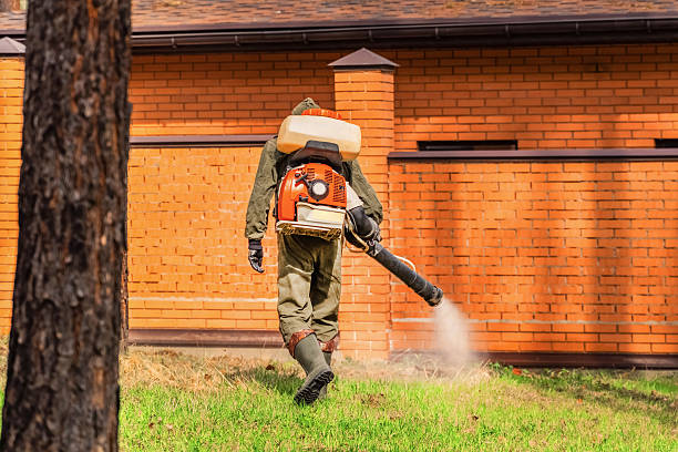 Trusted Fumigation Services service in Young Harris, GA - Nex Pest Control
